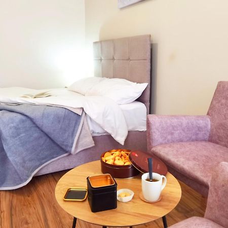 Dani Lux Belgrade Center Studio Apartment Buitenkant foto