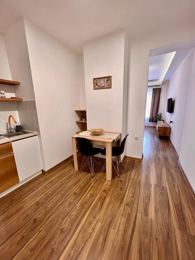 Dani Lux Belgrade Center Studio Apartment Buitenkant foto
